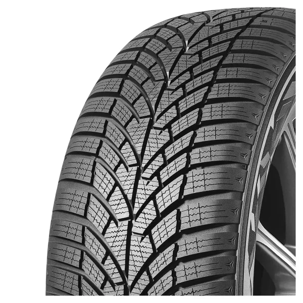 WinterCraft WP52 89V