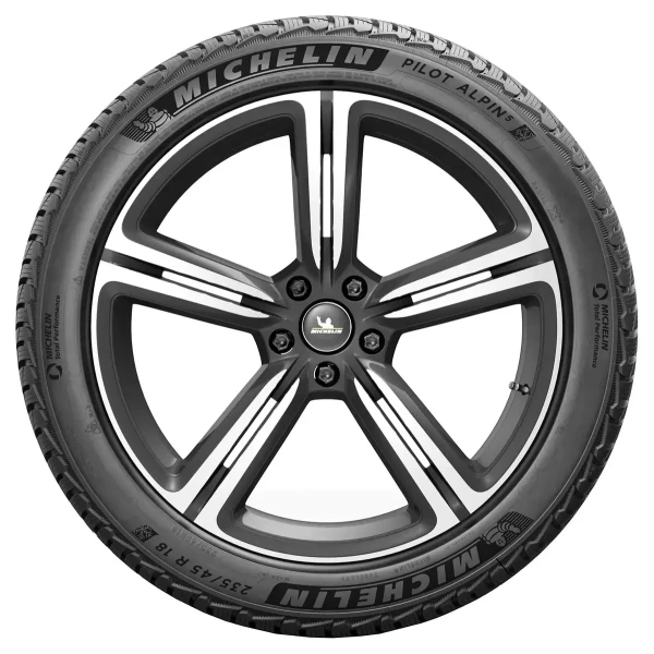 PILOT ALPIN 5 95V – pilt 2
