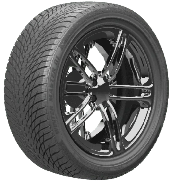 Winter Master D1 95V – pilt 3