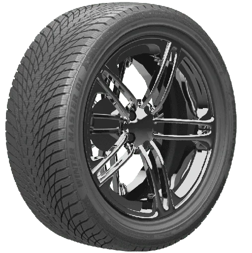 Winter Master D1 95V – pilt 3
