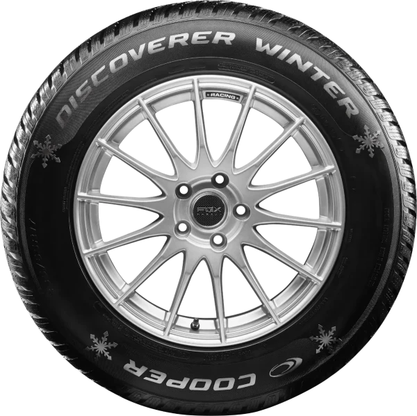Discoverer WINTER 99V – pilt 2