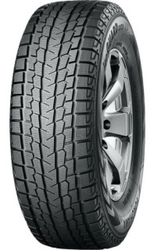 IceGuard G075112Q – pilt 2