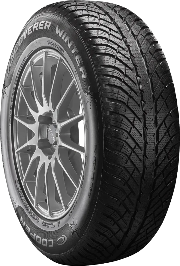 Discoverer WINTER 98V – pilt 4