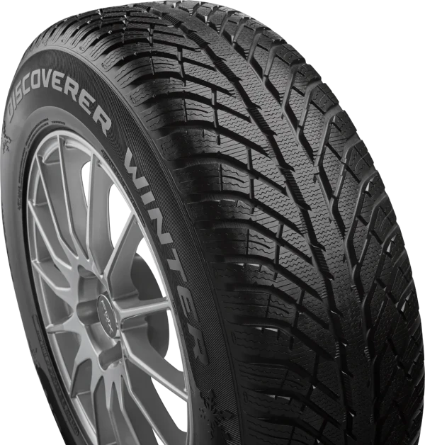 Discoverer WINTER 98V – pilt 3