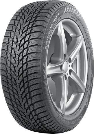 SNOWPROOF 1 100V