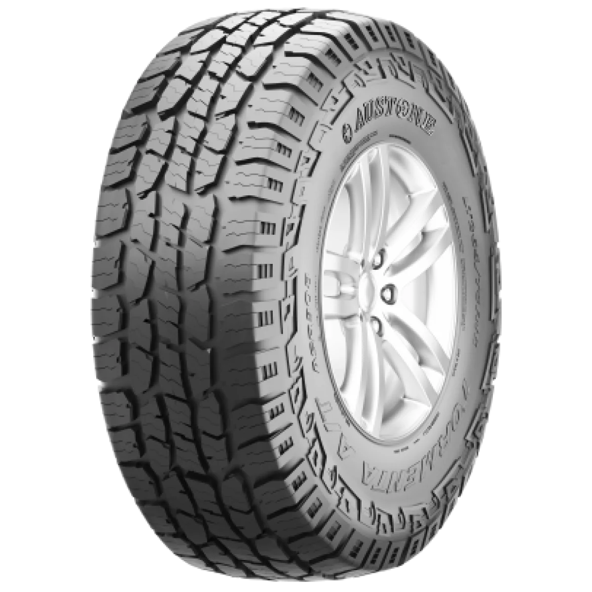 SP308 112T