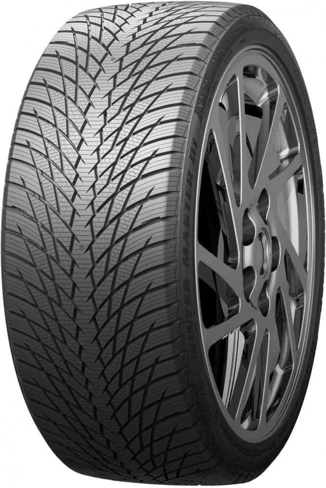 Winter Master D1 105V