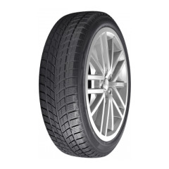 WinterSafe X299H FR