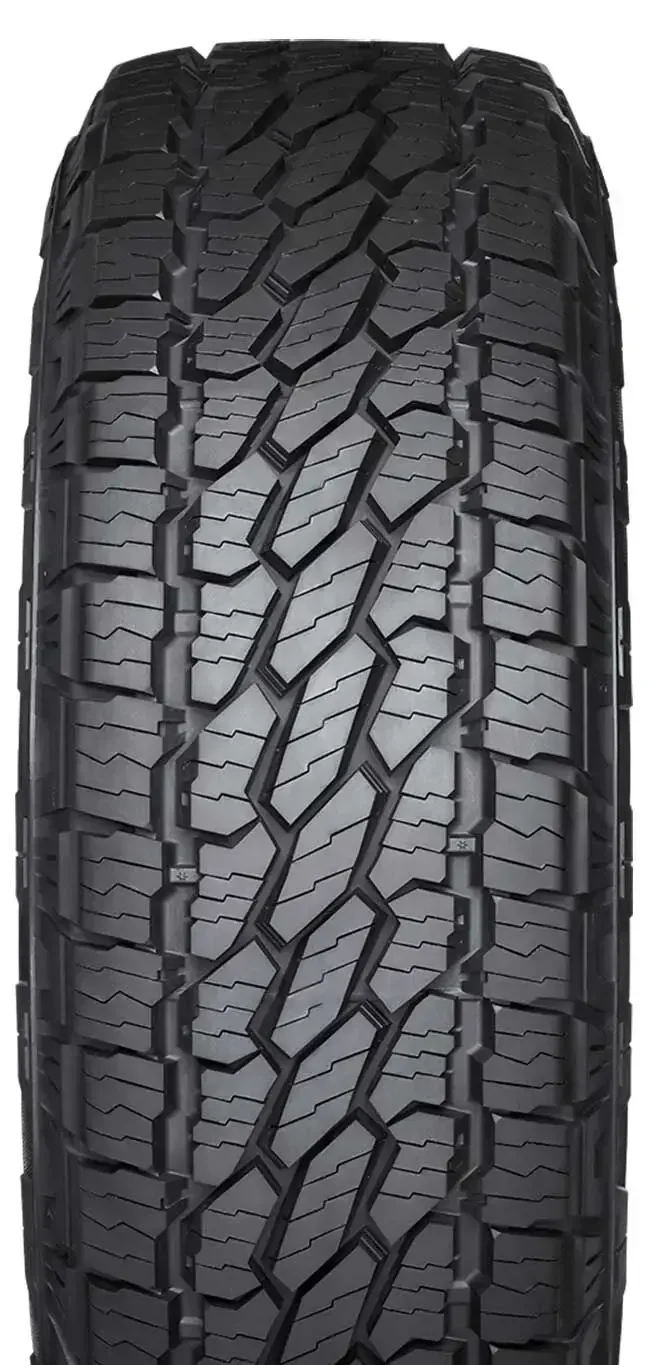 Dueler All Terrain A/T002 102H