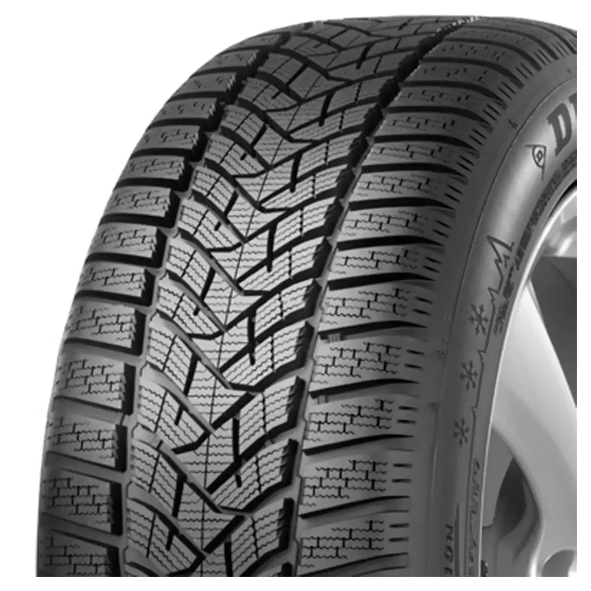 Winter Sport 5 91H