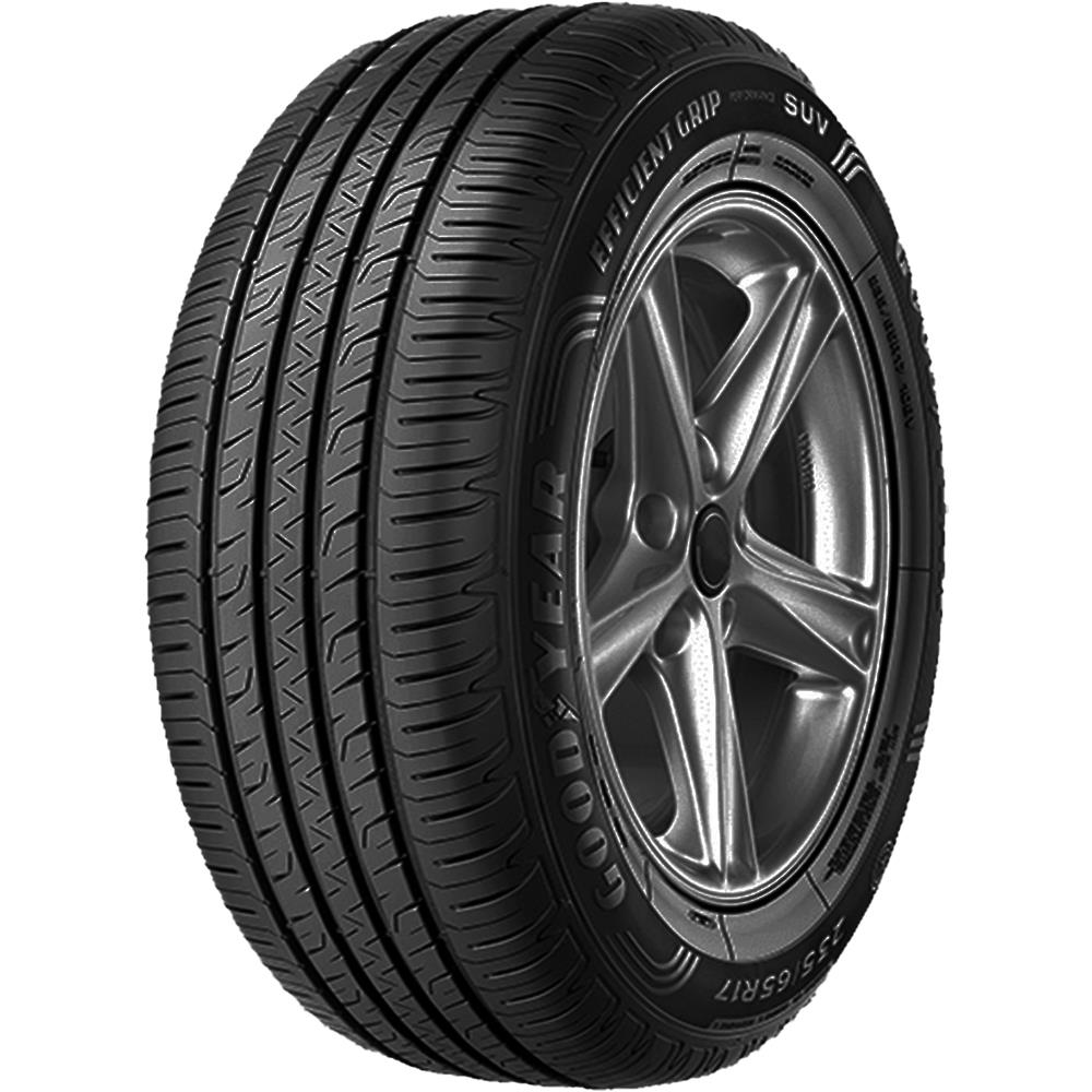 EFFICIENTGRIP PERFORMANCE SUV 102V XL