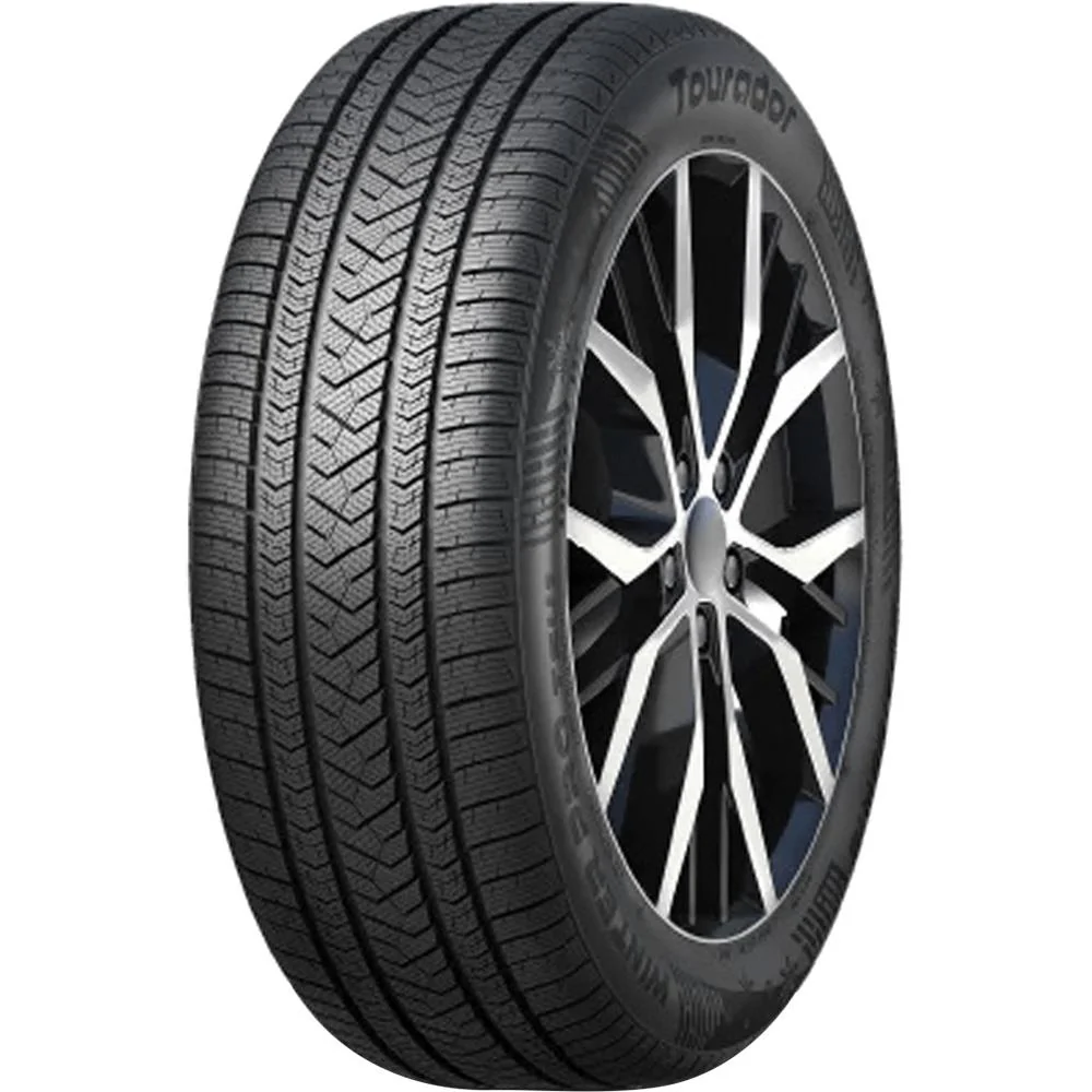 Winter Pro TSU1 110V