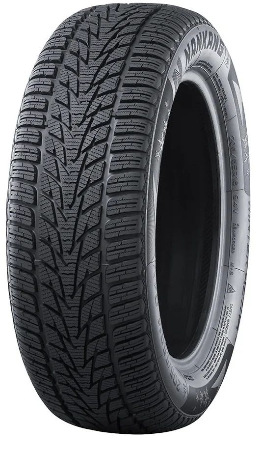 Winter Activa 4 100V