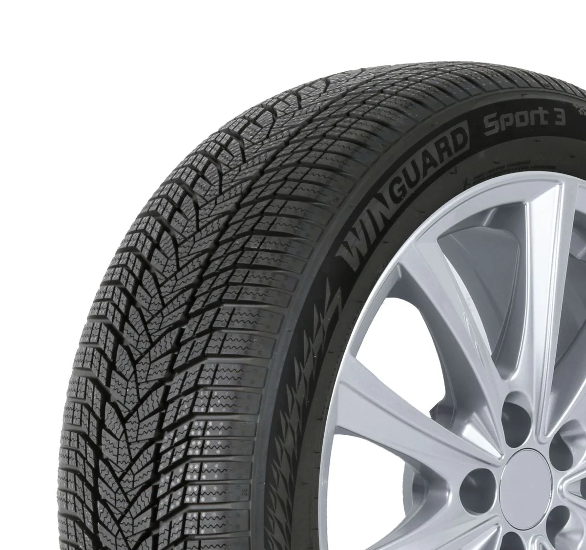 WinGuard Sport 3 95V