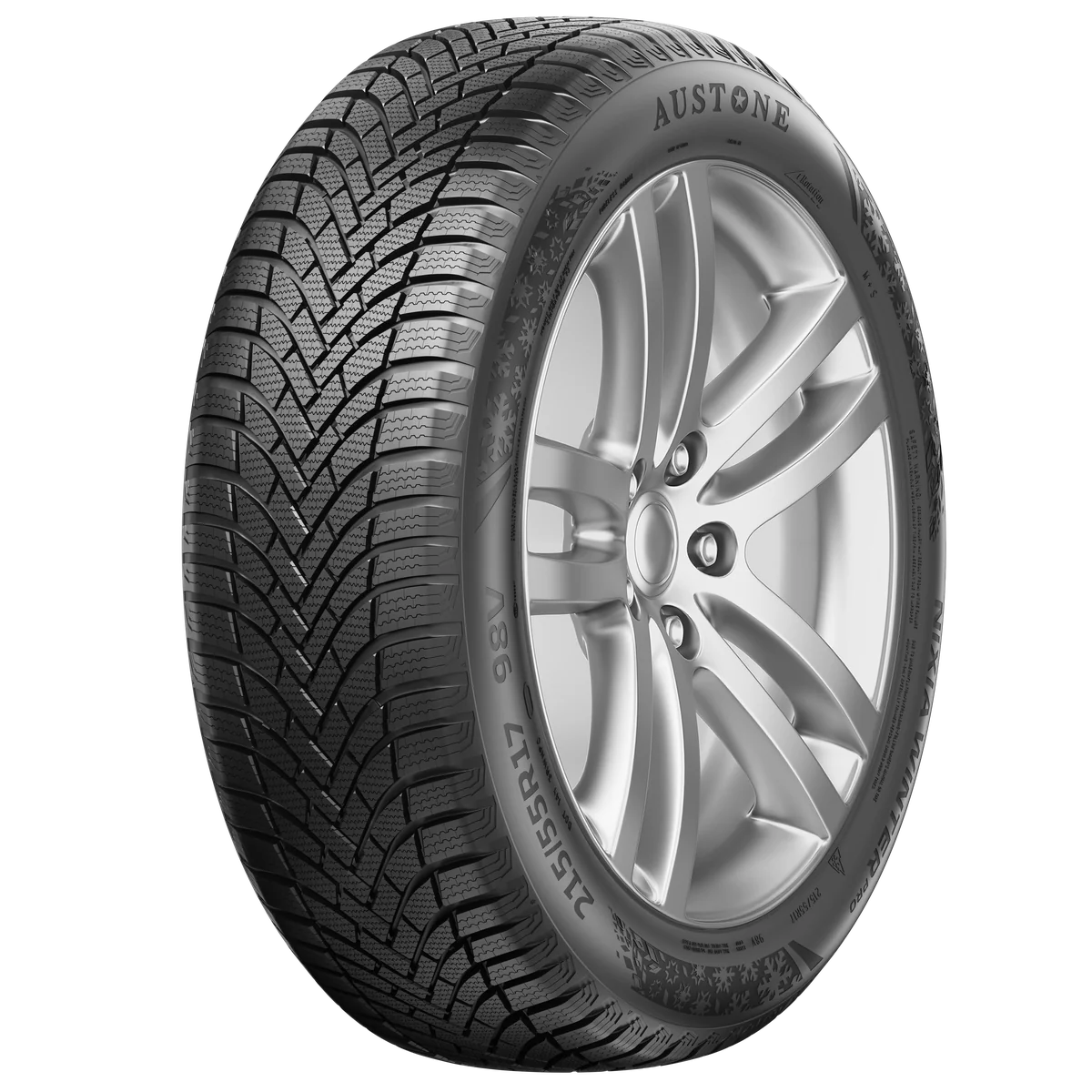 Nixia Winter Pro 107V