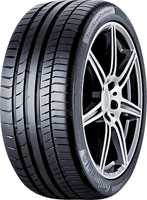 CSC 5 P 113Y