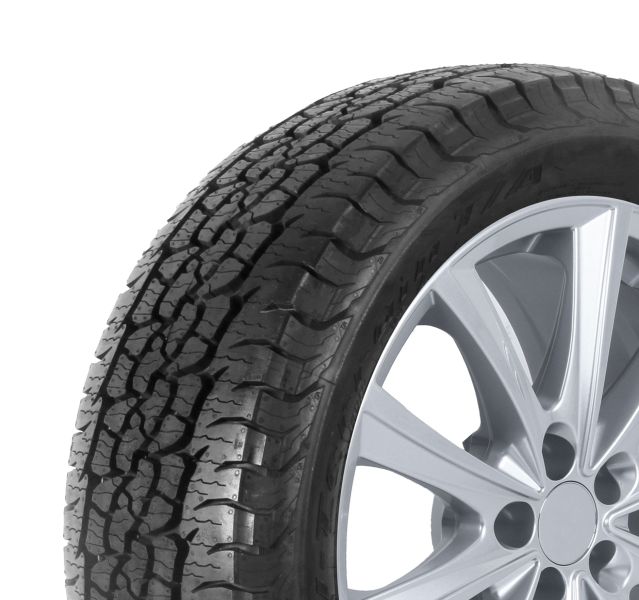 Trail-Terrain T/A